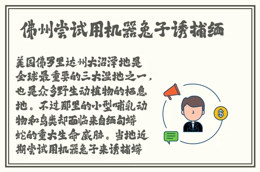给个网站2021年直接进入的